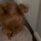 Toddler’s Heartwarming Reaction to New Bed | Adorable
