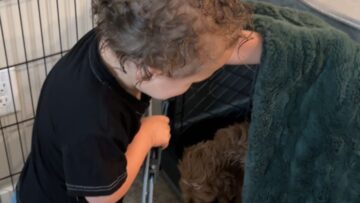 Toddlers-Sweet-Serenade-Wakes-Up-Dog-for-a-Joyful-Duet.jpg