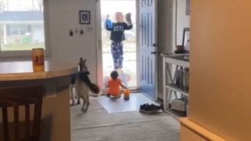 Ultimate-Sibling-Teamwork-for-Deep-Cleaning-Super-Cute.jpg