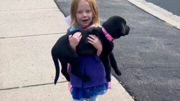 Unforgettable-Emotional-Surprise-Daughters-Dream-Dog-Revealed-Heartsome.jpg