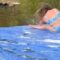 Watch Her Epic Pond Slip Turn Into an Unexpected Splits Moment! | Try Not to Laugh