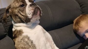 Watch-This-Adorable-Dogs-Heart-Overflow-with-Love-for-His.jpg