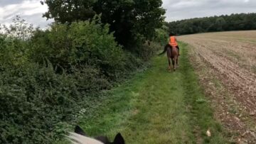 When-Calm-Cantering-Turns-Into-Absolute-Chaos-Hilarious-Horse-Spook.jpg