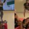 When Cheerleading Dreams Come Tumbling Down: Hilarious Stunt Fails! | Try Not to Laugh