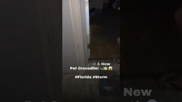 When-Life-Hands-You-Hurricanes-and-a-Croc-in-Your.jpg