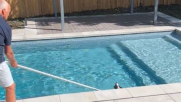 When-a-Skunk-Takes-Over-the-Pool-You-Wont-Stop.jpg
