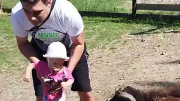 Adorable-Little-Girls-Joyful-Encounter-with-Playful-Goats-at-Dads.jpg