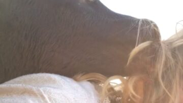 Adorable-Orphan-Calf-Mistakes-Blonde-Hair-for-Hay-at-Snack.jpg