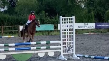 Ambitious-Horse-Aims-for-the-Skies-but-Cant-Fly.jpg