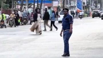 Chaos-on-the-Street-Pranksters-Hilarious-Chase-of-a-Confused.jpg