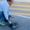 Compassionate Woman Rescues Struggling Bird from Busy Road | Heartsome