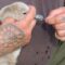 Dad saves choking baby swan | Adorable
