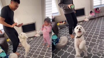 Daddy-Toddler-and-Dogs-Super-Cute-Dance.jpg