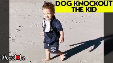 Excited-Pup-Sends-Kid-Flying-Adorable.jpg