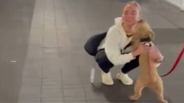 Fluffy-Dogs-Joyful-Reunion-with-Owner-After-Two-Long-Months.jpg