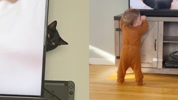 Funny-Cat-Plays-Hide-and-Seek-Behind-TV-Adorable.jpg