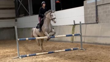 Hold-Your-Horses-Epic-Takeoff-Turns-into-a-Tumble.jpg