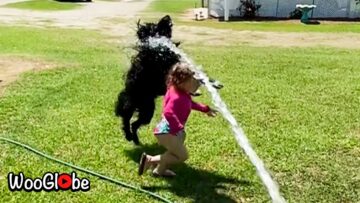 Joyful-Playtime-Little-Girl-Tumbles-as-Adorable-Dog-Cant-Contain.jpg