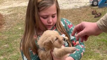 Little-Girls-Christmas-Surprise-Adorable-Puppy-Unleashes-Joy-and-Love.jpg