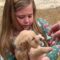 Little Girl’s Christmas Surprise: Adorable Puppy Unleashes Joy and Love! | Heartwarming