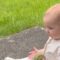 Little One’s First Throw: A Precious Moment with Dad and Their Playful Pup! | Heartwarming