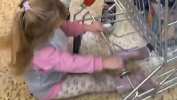 Little-girl-steals-spotlight-in-supermarket-Shoppers-cant-resist.jpg
