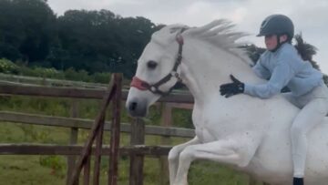 Pony-Takes-a-Snack-Break-Mid-Jump-Girls-Bareback-Adventure-Turns.jpg