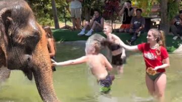 Smiles-and-Joy-Children-Bonding-with-Gentle-Giants-at-Koh.jpg