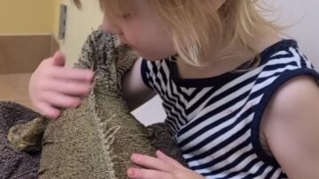 Sweet-Girl-Comforts-Her-Beloved-Iguana-at-the-Vet-A.jpg