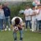Sweet boy’s adorable reaction to finding out baby sibling’s gender | Super Cute