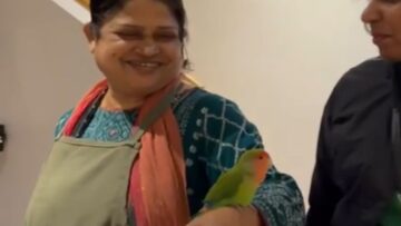 The-Unlikely-Journey-of-a-Lost-Lovebird-Who-Discovered-Family.jpg