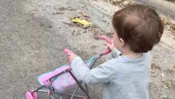 Tiny-Tots-Delightfully-Dispute-Over-Their-Walking-Dolls-Heartwarming.jpg
