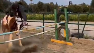 Unbridled-Laughter-Riders-Wallet-Takes-a-Dive-After-Epic-Fall.jpg