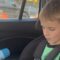 Watch Their Priceless Reactions as Parents Gift Their Boys a Puppy Surprise! | Heartwarming