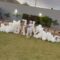 Watch This Couple’s Emotional Gender Reveal Surprise That Will Melt Your Heart! | Heartwarming
