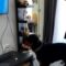 Watch This Jealous Pup’s Hilarious Reaction When Mom Tries to Share Toys with a TV Dog! | Heartsome
