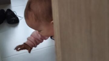 Baby-cutely-chases-bug-on-floor-adorable-crawling-action.jpg