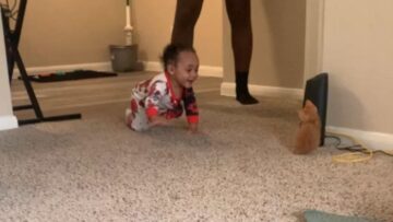 Babys-Delight-The-Cutest-Bonding-Moment-with-a-Playful-Kitten.jpg