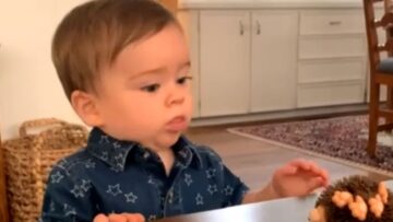 Calm-boys-adorable-struggle-Cant-touch-favorite-furry-toy.jpg