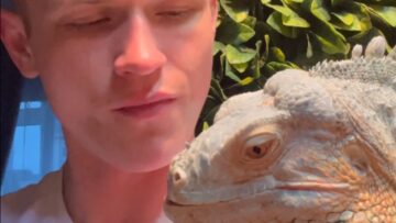 Charming-Iguanas-Adorable-Request-for-Blueberries-Will-Melt-Your-Heart.jpg