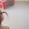 Elf transforms boy’s Spider-Man shirt into cozy blanket | Super Cute