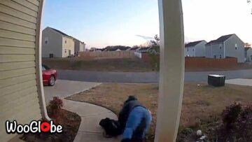 Epic-Ring-Camera-Blunders-That-Will-Leave-You-in-Stitches.jpg