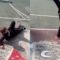 Epic Skateboard Stunt Fails Spectacularly—Can You Handle the LOLs? | Try Not to Laugh!