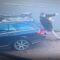 Epic Stumble: Man Takes a Dive but Bounces Back Like a Pro! | Try Not to Laugh!
