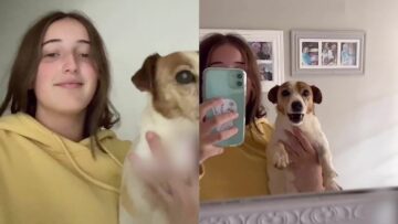 Furry-Fantasy-Dogs-Hilarious-Reaction-to-Her-Mirror-Twin.jpg