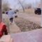 Heroic Woman’s Adorable Rescue of a Pup in a Funny Mishap || Heartwarming