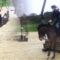 Hilarious Horseback Hiccups: Watch This Epic Pyecombe Pratfall! | Try Not to Laugh