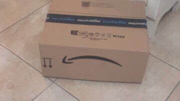 Meerkats-Cute-Cardboard-Box-Adventure-Adorable.jpg