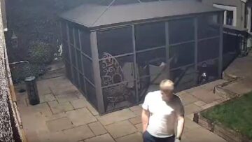 Puppy-vs-Glass-Door-Hilarious-Epic-Fail-That-Will-Leave.jpg
