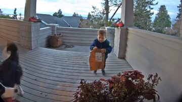 Sweet-Little-Boy-Delivers-Joy-with-His-Doorbell-Ring.jpg